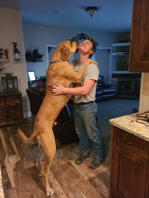 Mack standing on his hind legs to hug a person in the living room